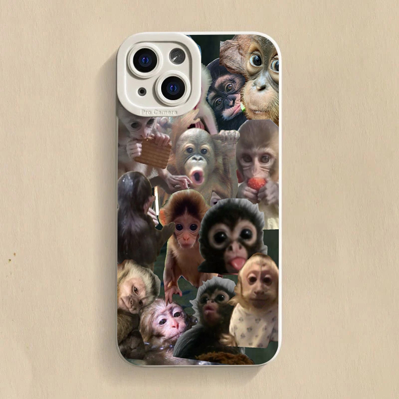Zabawne etui na telefon z moty – Samsung Galaxy S24 recenzja i cena